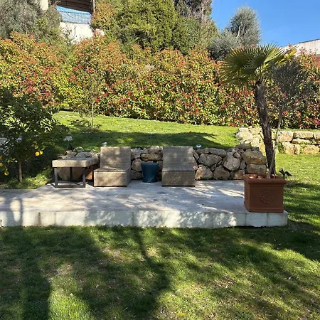 Villa Piscine Sur Les Hauteurs De Cannes